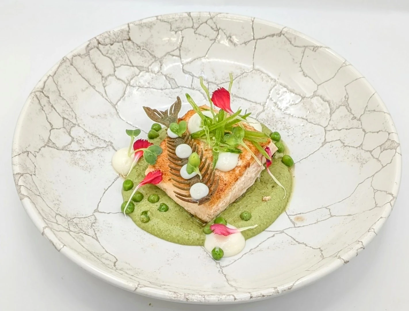 Salmon